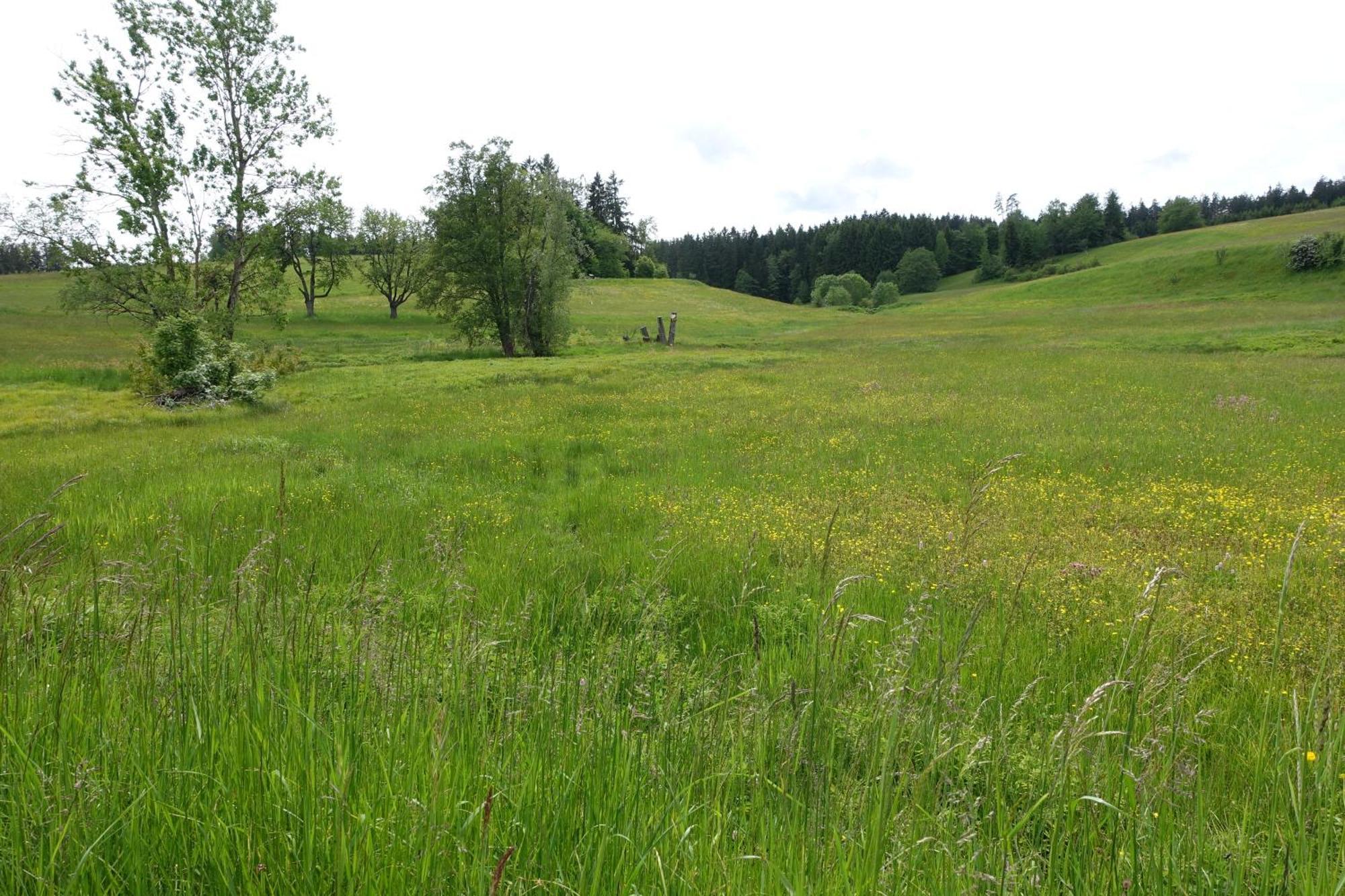 Blick In Den Garten Holzschlag Eksteriør bilde