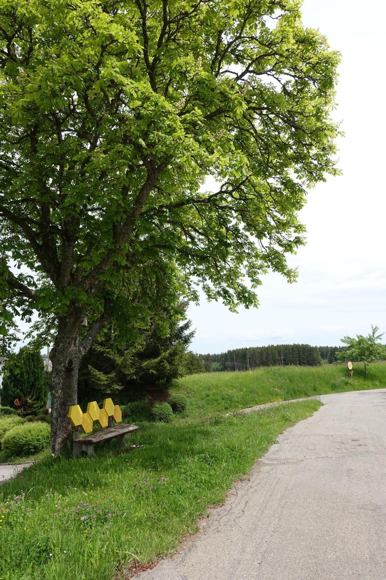 Blick In Den Garten Holzschlag Eksteriør bilde